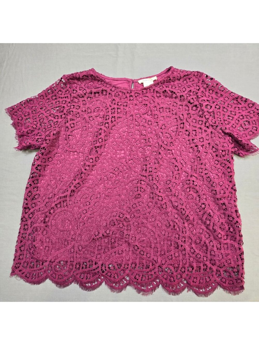 Philosophy XXL Romantic Lace Top Short Sleeve Purple Plum Scalloped Hem Lined